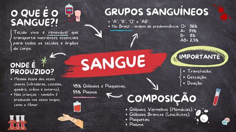 SANGUE MAPA MENTAL Laís Almeida Alves Hotmart