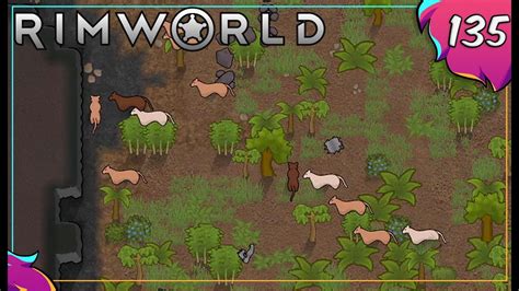 Rimworld Royalty Verdammte Pumas Gameplay Deutsch Modded Youtube