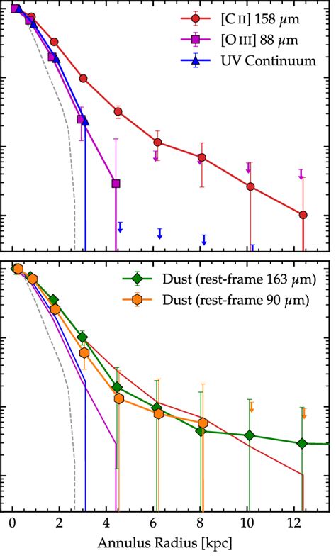 Radial Surface Brightness Profiles For A Zd In The Source Plane