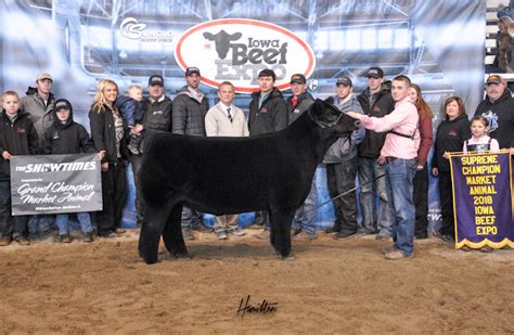 Rcc Blog Updated Picture Of Grand Champion Market Animal And Champion