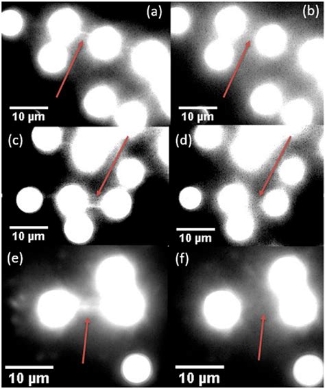 Frontiers Optical Temperature Sensing With Infrared Excited