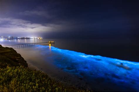 9 Bioluminescent Kayaking and Viewing Opportunities Across the US