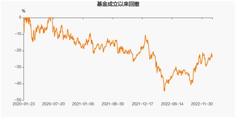 【图解季报】汇添富中证互联网医疗指数c基金2022年四季报点评天天基金网