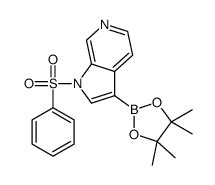 1 Bencenosulfonil 3 4 4 5 5 Tetrametil 1 3 2 Dioxaborolan 2 Il