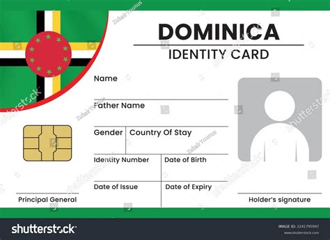 Dominicas National Identity Card Identity Card เวกเตอร์สต็อก ปลอดค่า