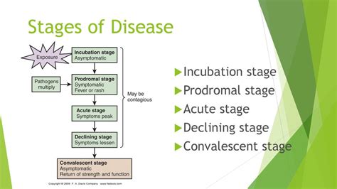 What Is The Prodromal Stage