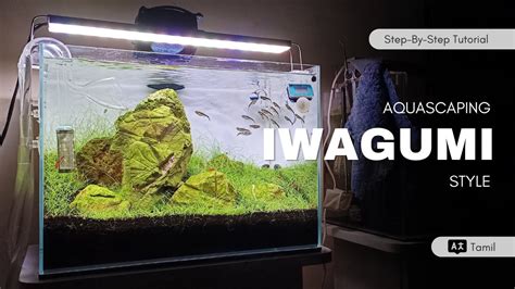 Iwagumi Style Aquascaping Using Elephant Rock Step By Step