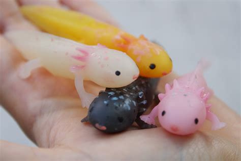 Axolotl Color Guide How To Pick The Right Color Axolotl Off