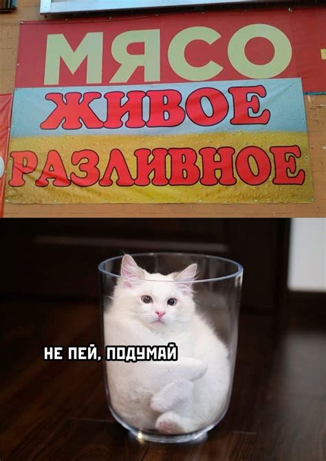 Мемы фото