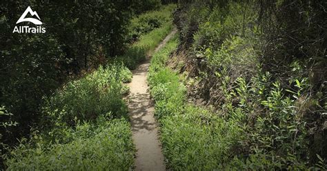 Best Hikes And Trails In San Felipe Hills Wilderness Study Area Alltrails