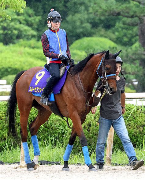 【宝塚記念】スルーセブンシーズ 栗東で1週前追い 尾関師「予定通りしっかりやれました」 ライブドアニュース