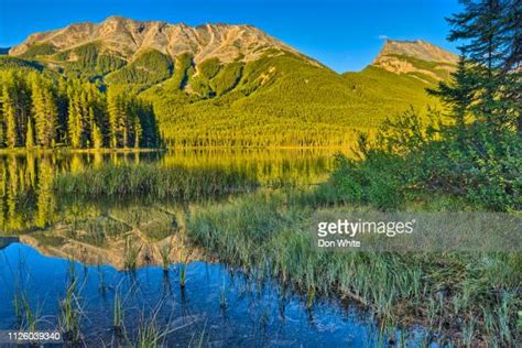 Buck Lake Alberta Photos and Premium High Res Pictures - Getty Images