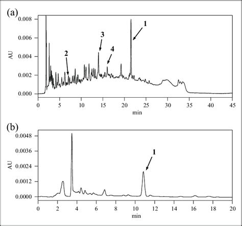 Typical Hplc Chromatograms Of Rhpmj Lot B A Pattern Analysis Uv