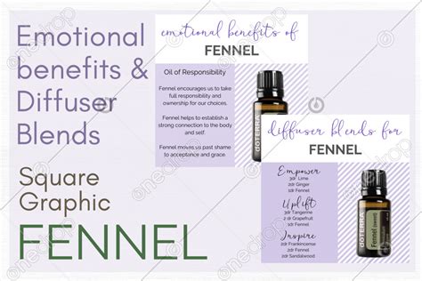 Fennel Emotional Benefits And Diffuser Blends Square Gr By Samantha