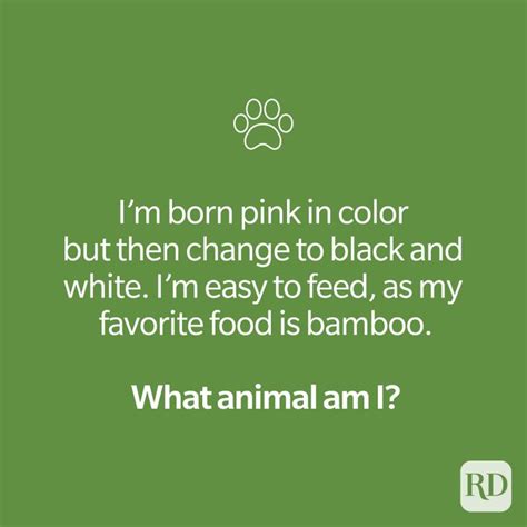 30 Animal Riddles That Are Serious Mind Benders | Reader's Digest