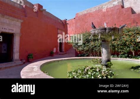 Pigeons Drinking Water In A Fountain Surrounded By Red Walls And Walls