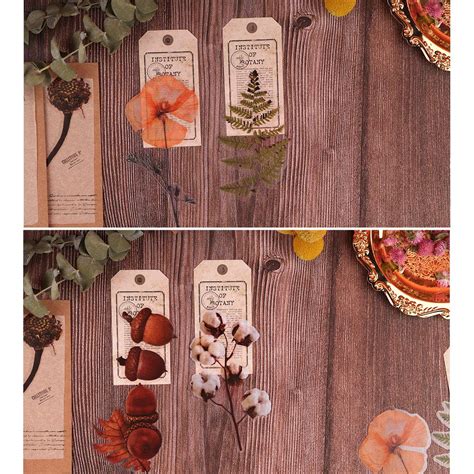 Flower And Plant Sticker Set Nogamoga Packs Decorative Pet Stickers