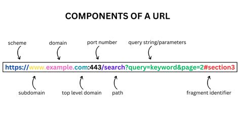 Components of a Website Address - The URL