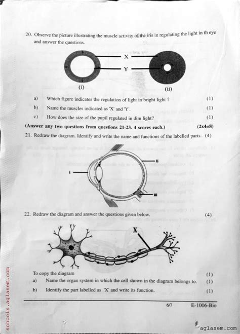 Class Biology Onam Exam Question Paper Pdf Kerala Std