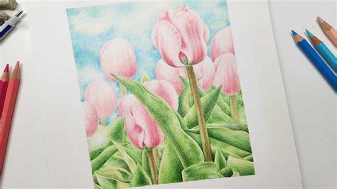 분홍 튤립 그리기 Drawing Pink Tulips 색연필 꽃 드로잉 Youtube