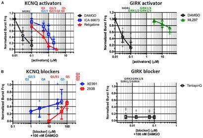 Frontiers Presynaptic Mechanisms And Kcnq Potassium Channels Modulate