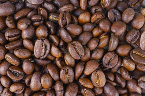 Aromatic Roasted Arabica Coffee Bean Close Up Macro Stock Image