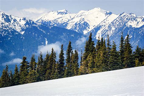 Hurricane Ridge Winter Stock Photos, Pictures & Royalty-Free Images ...