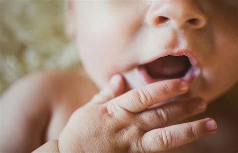 Alergia Escotilla Refrigerador El Nacimiento De Mi Bebe Repetir Altavoz