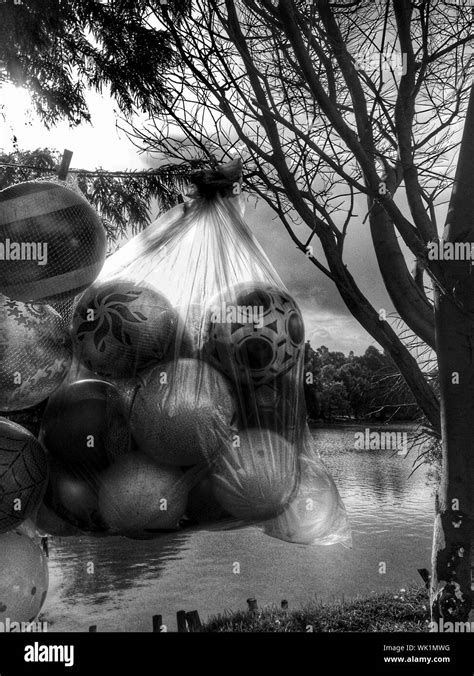 Low Hanging Balls Fotos Und Bildmaterial In Hoher Auflösung Alamy