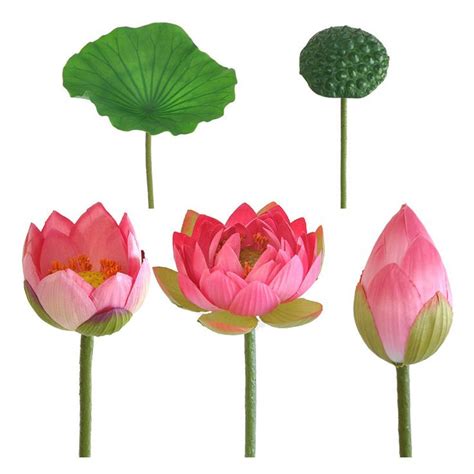 Bulk Lotus Lily Flowers Stems Leaf Seedpod Real Touch Artificial