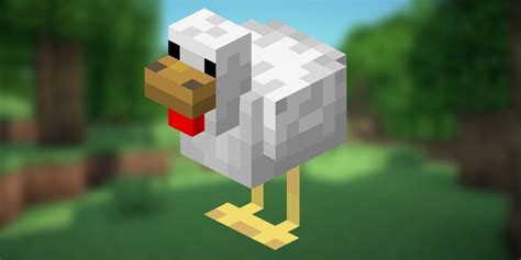 Guide To Creating An Automatic Chicken Farm In Minecraft Pocket Gamer