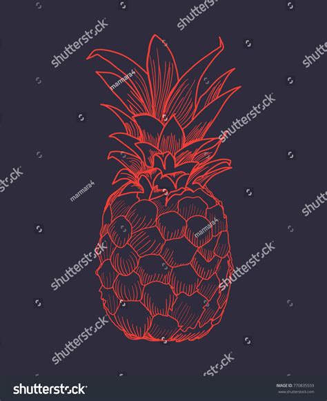 T Shirt Graphics Vector Pineapple Stock Vector Royalty Free 770835559 Shutterstock