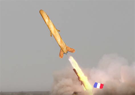 French weapons in history : r/france