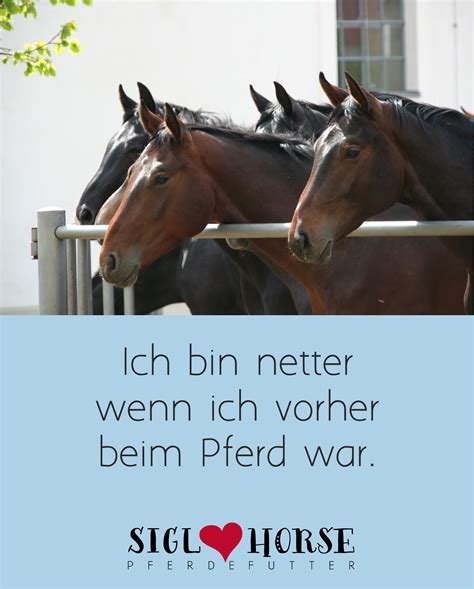 Ich Bin Netter Wenn Ich Beim Pferd War Pferde Zitate Zitate F R