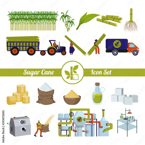 Sugar cane and products from it. Production and processing. Stock ...