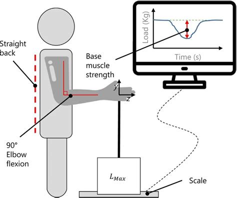 Muscle strength quantification experimental setup. The isometric ...