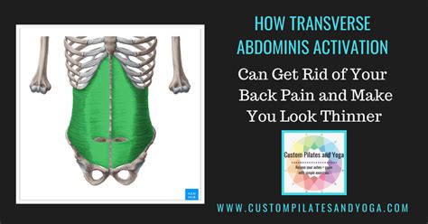 How Transverse Abdominis Activation Can Make You Immediately Look Inches Thinner - Custom ...