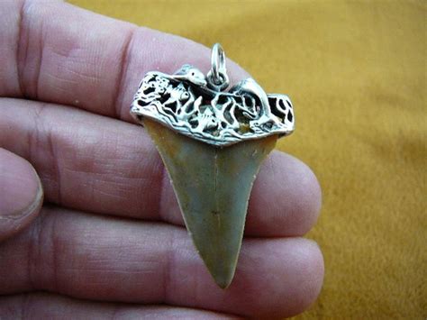 1 1 2 Inch Fossil Mako Shark Tooth Teeth SILVER Filigree Cap Capped