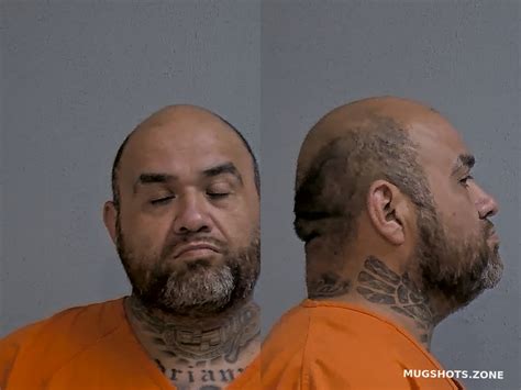 Lozano Hector Guadalupe Hidalgo County Mugshots Zone