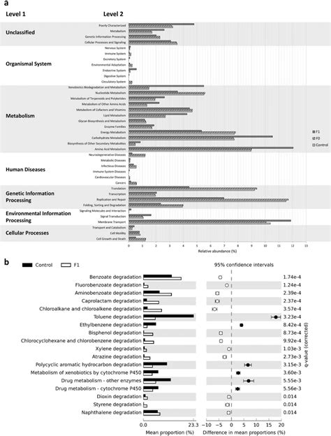 Functional Prediction Analysis Generated By PICRUSt A The Relative