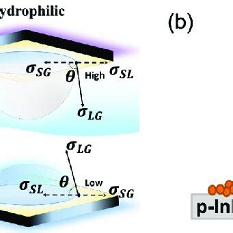 Electrode Surface Modifications For Increased Gas Bubble Detachment In