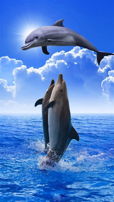 iPhone Dolphin Wallpaper - KoLPaPer - Awesome Free HD Wallpapers