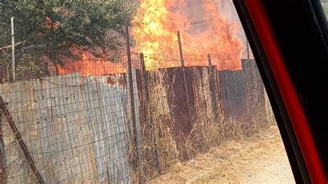 Emergenza Incendi A Mosorrofa Le Foto