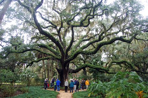 Washington Oaks Gardens State Park Palm Coast Florida