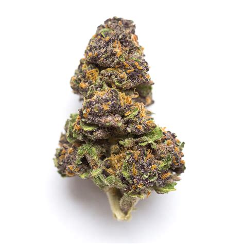 SPK Marihuana Strain Information Spliffmeister