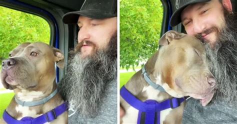 Loyal Dog Has Sweetest Response To Dad's Question, 'Do You Love Your ...