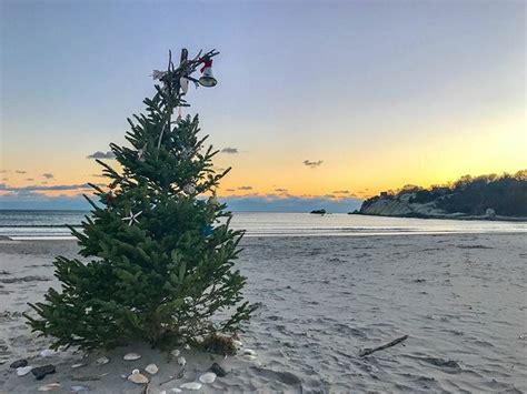 Christmas tree on the beach | Beach christmas, Christmas tree ...