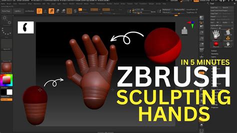 Hand Sculpting In Minutes Zbrush Tutorial How To Create Hand In