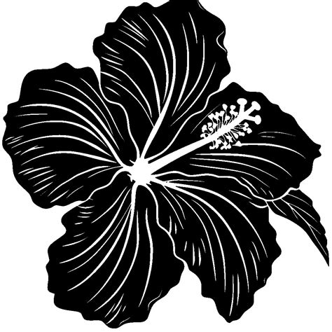 Free Icon Tropical Flower Simple Black And White Svg Vector File For