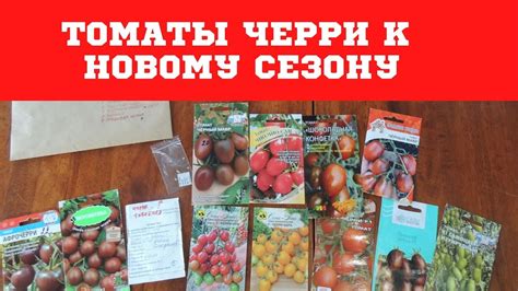 ТОМАТЫ ЧЕРРИ К НОВОМУ СЕЗОНУ! - YouTube